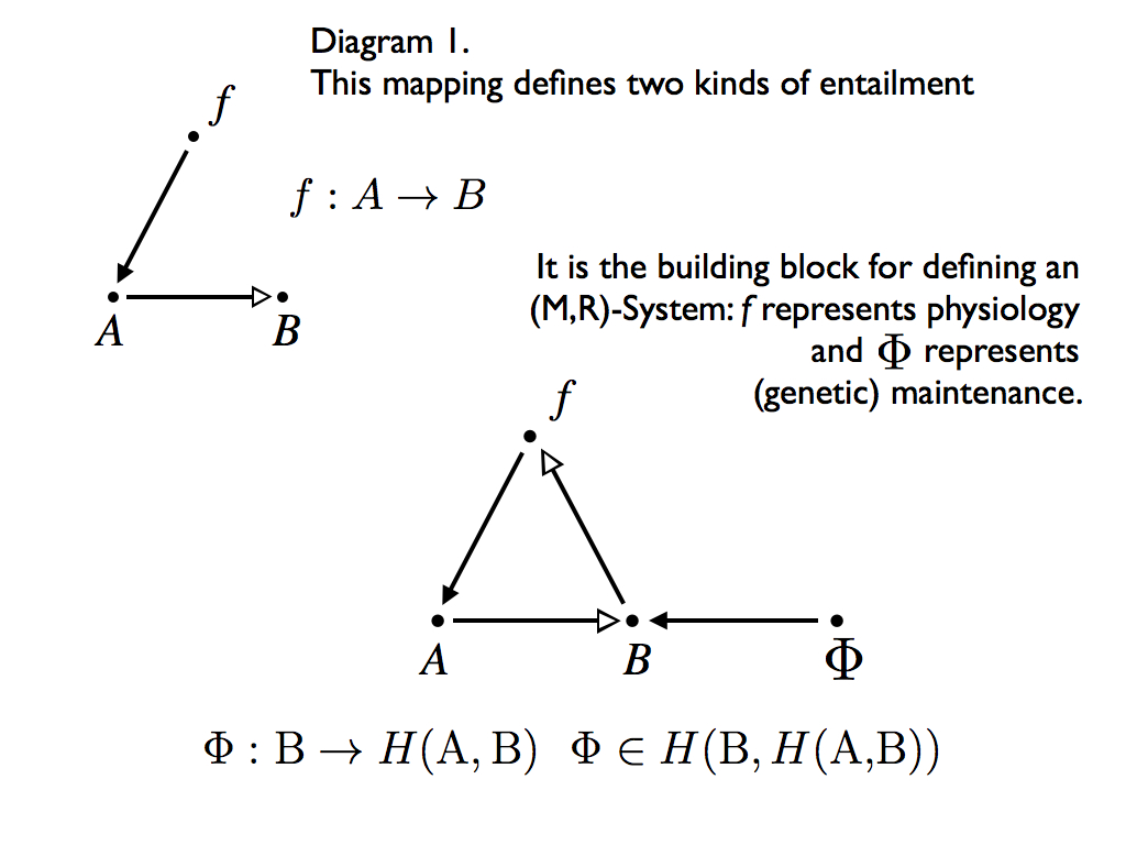 Rosen diagrams