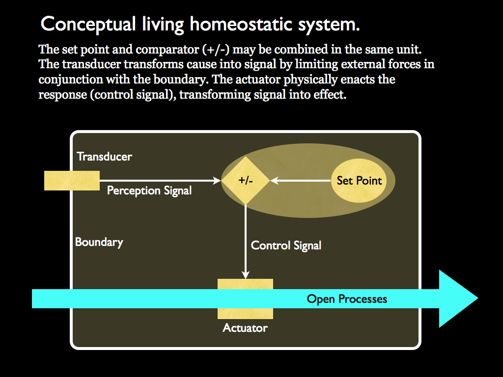 homeostatic cell